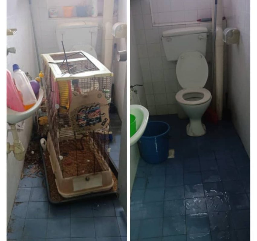 PHOTO-2024-03-15-17-42-49