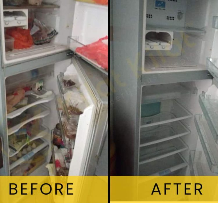 refridgerator-cleaning-before-after
